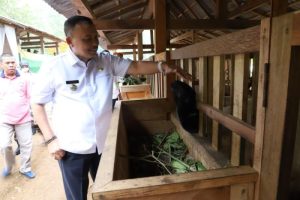 Kandang Closed House di Kaligesing, Purworejo Terobosan Peternakan Modern