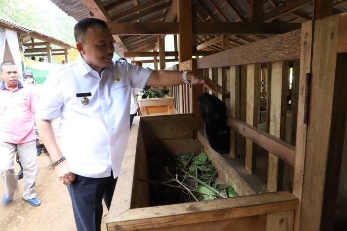 Kandang Closed House di Kaligesing, Purworejo