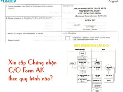 Jual Ayam Bangkok di Puring, Kebumen