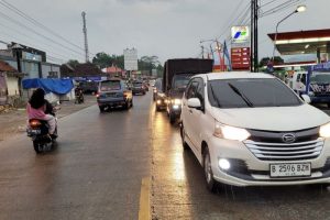 Tanya Penyakit Ayam di Ajibarang, Banyumas