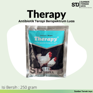 Obat Ayam Ngorok di Kutoarjo, Purworejo yang Efektif