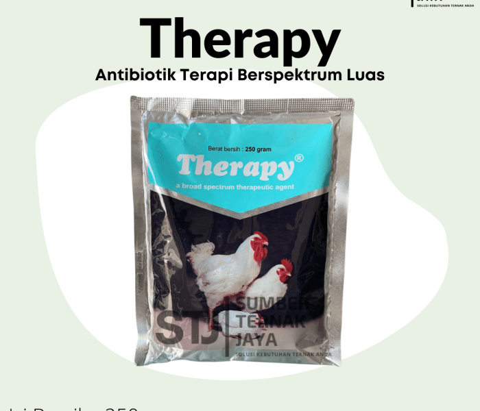 Obat Ayam Ngorok di Kutoarjo, Purworejo
