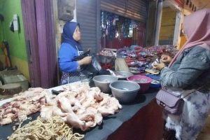 Ayam Bangkok Muda di Ajibarang, Banyumas yang Menarik