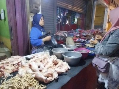 Harga Ayam Bangkok di Kemranjen, Banyumas