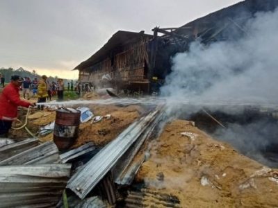 Ayam Bangkok Pukul Mati di Rawalo, Banyumas