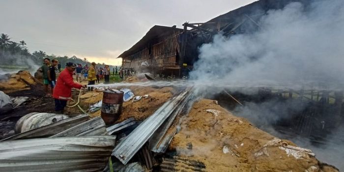 Ayam Bangkok Pukul Mati di Rawalo, Banyumas