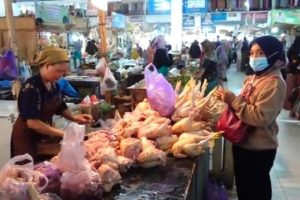 Harga Ayam Hari Ini di Karangsambung, Kebumen Terbaru