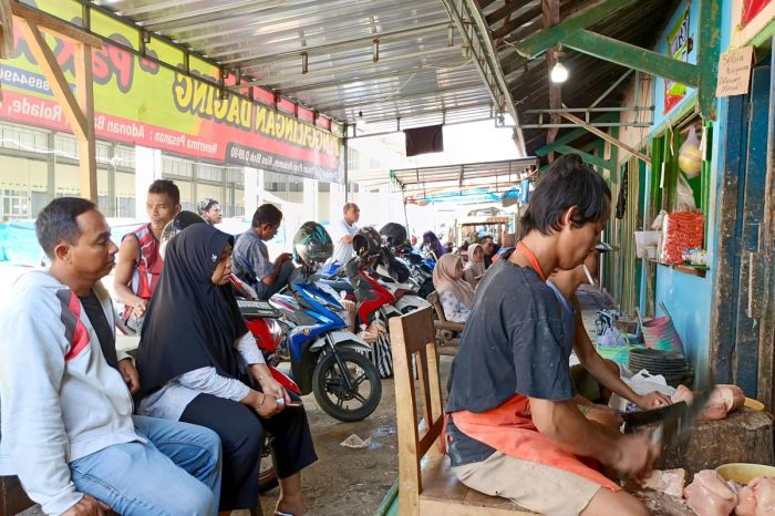 Ayam Broiler Mati di Sadang, Kebumen