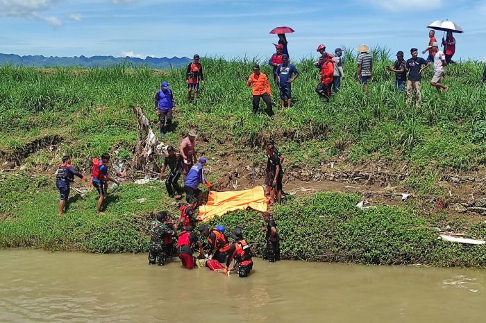 Ayam Lumpuh di Karanganyar, Kebumen