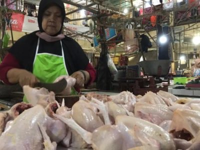 Ayam Termahal di Kemranjen, Banyumas