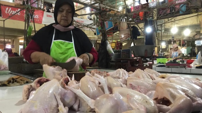 Ayam Termahal di Kemranjen, Banyumas