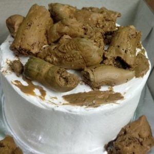 Usaha Ayam Broiler di Buayan, Kebumen Menjanjikan Keuntungan