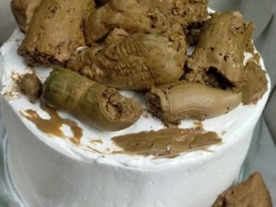 Usaha Ayam Broiler di Buayan, Kebumen