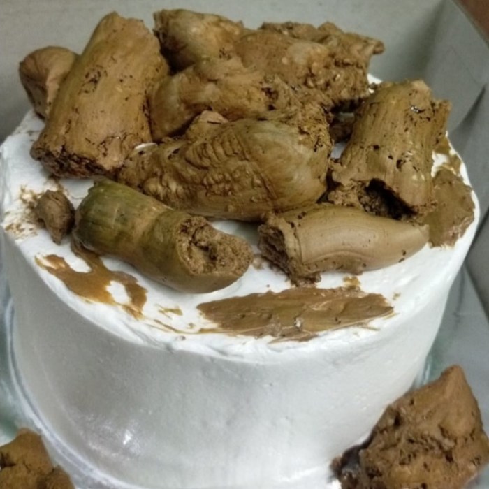 Usaha Ayam Broiler di Buayan, Kebumen