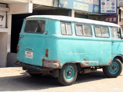 Ternak Ayam Organik di Prembun, Kebumen