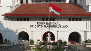 Ayam Terbesar Di Indonesia di Adimulyo, Kebumen
