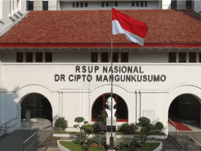 Ayam Terbesar Di Indonesia di Adimulyo, Kebumen