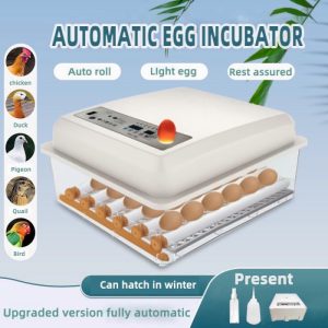 Inkubator Telur Otomatis di Ambal, Kebumen yang Efisien