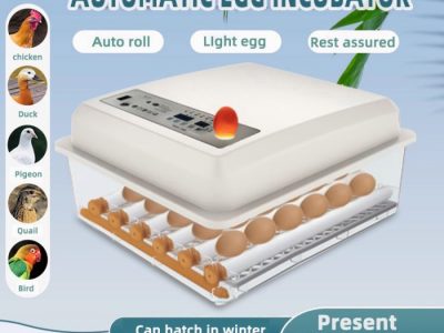 Inkubator Telur Otomatis di Ambal, Kebumen