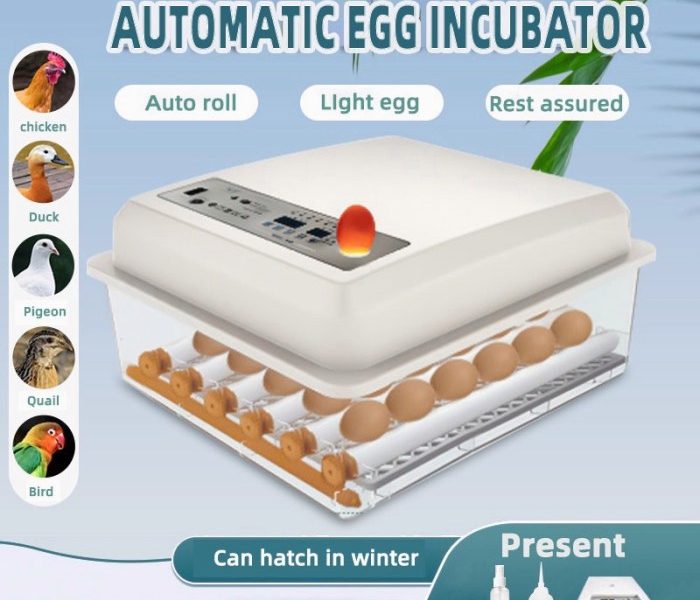 Inkubator Telur Otomatis di Ambal, Kebumen