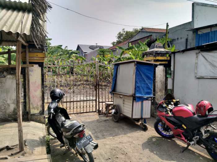 Ayam Mencret di Wangon, Banyumas
