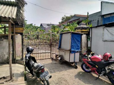 Ayam Mencret di Wangon, Banyumas