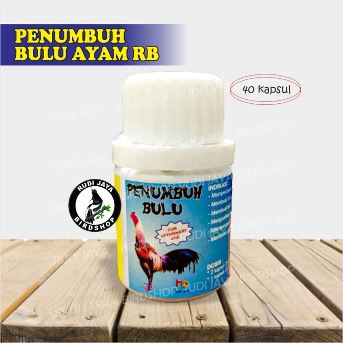 Vitamin Ayam Terbaik di Buluspesantren, Kebumen