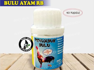 Vitamin Ayam Terbaik di Buluspesantren, Kebumen
