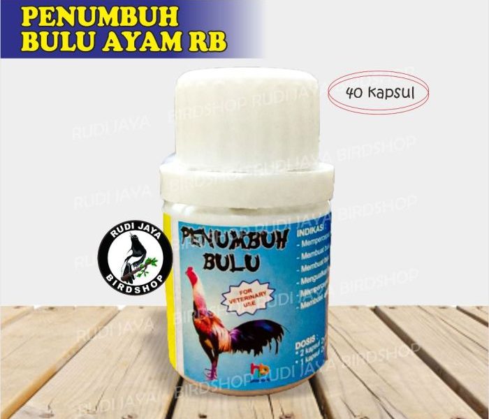 Vitamin Ayam Terbaik di Buluspesantren, Kebumen