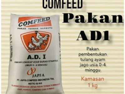 Pakan Ayam Bangkok di Alian, Kebumen