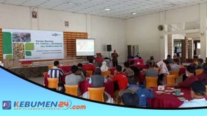 Tempat Pakan Ayam di Alian, Kebumen yang Menarik