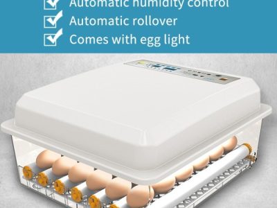 Jual 【220V/12V 12/24/36/96 Telur】All-In-One Intelligent Full-automatic ...