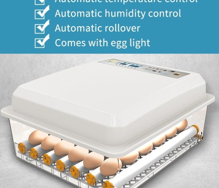 Jual 【220V/12V 12/24/36/96 Telur】All-In-One Intelligent Full-automatic ...