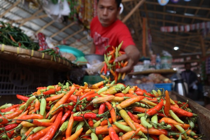 Harga DOC Hari Ini di Kebasen, Banyumas