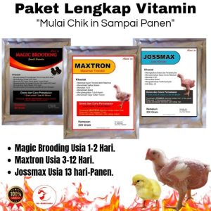 Vitamin Broiler di Kemiri, Purworejo untuk Optimalisasi Pertumbuhan