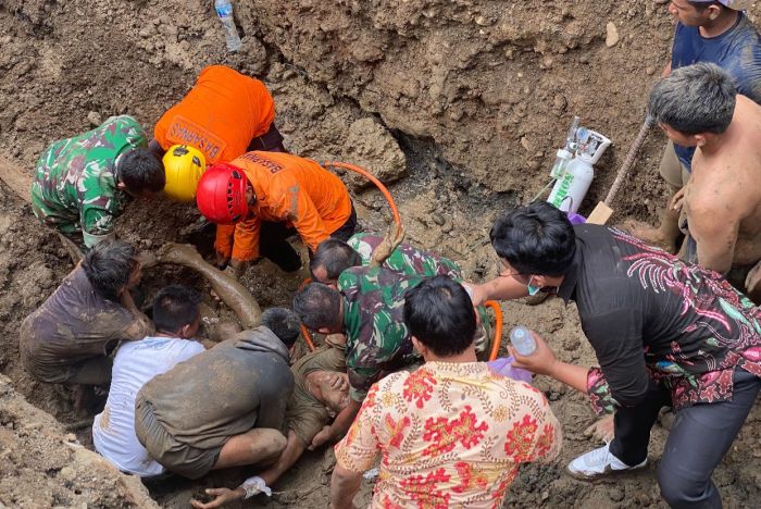 Tanya Penyakit Ayam di Rawalo, Banyumas