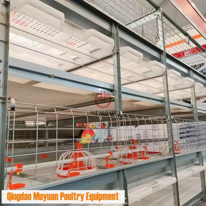 Kandang Ayam Otomatis di Banyuurip, Purworejo