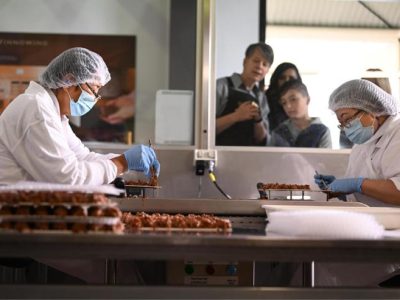 Mesin Pencabut Bulu Ayam di Purwojati, Banyumas
