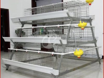Kandang Ayam Petelur di Poncowarno, Kebumen