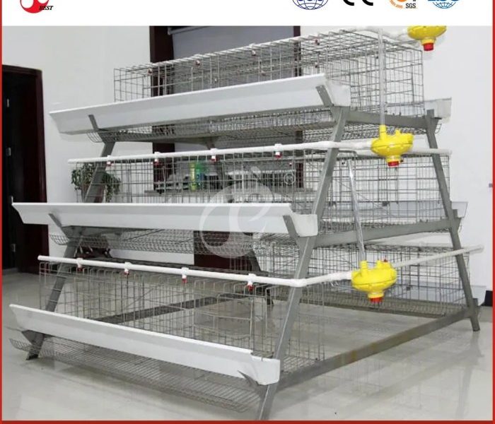 Kandang Ayam Petelur di Poncowarno, Kebumen