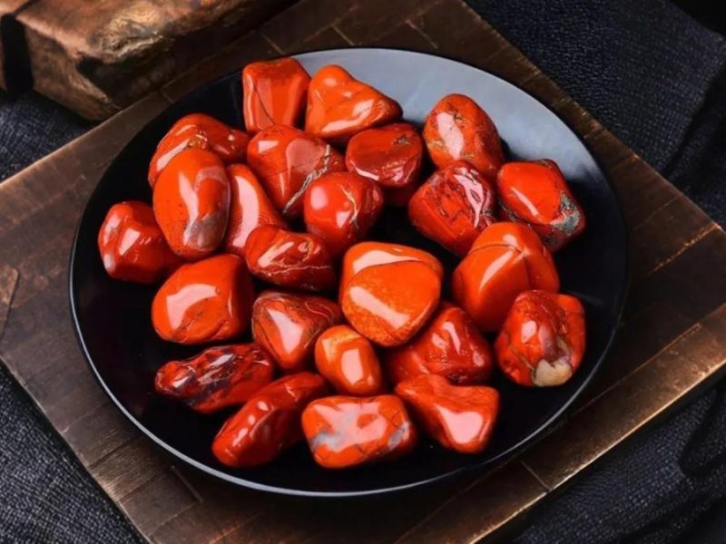 Bisnis Ayam Petelur di Kuwarasan, Kebumen