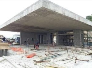 Ayam Lumpuh di Baturaden, Banyumas Fenomena Unik