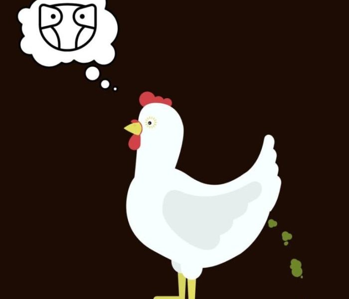 Ayam Berak Putih di Alian, Kebumen