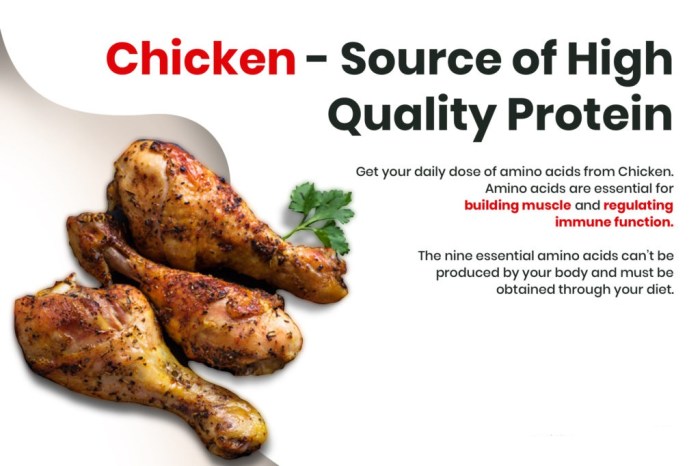 Vitamin Ayam Terbaik di Bener, Purworejo