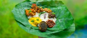 Vitamin Ayam Bangkok di Purwodadi, Purworejo yang Terbaik