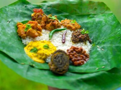 Vitamin Ayam Bangkok di Purwodadi, Purworejo