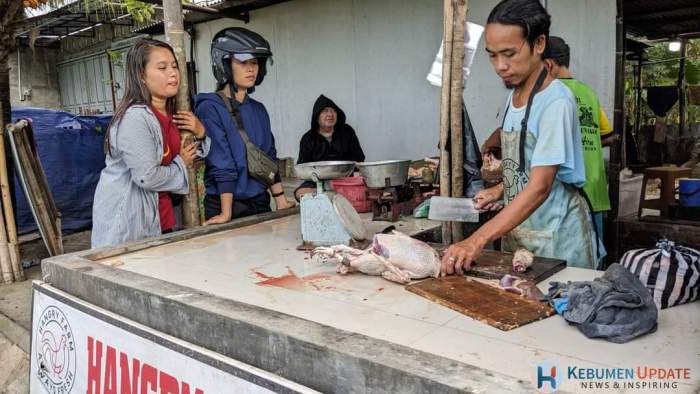 Harga Ayam Kampung di Sruweng, Kebumen