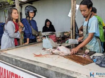 Harga Ayam Kampung di Sruweng, Kebumen