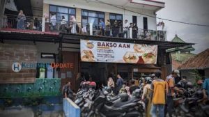 Pakan Ayam Bangkok di Karangsambung, Kebumen yang Berkualitas