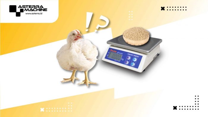 FCR Ayam Broiler di Mirit, Kebumen
